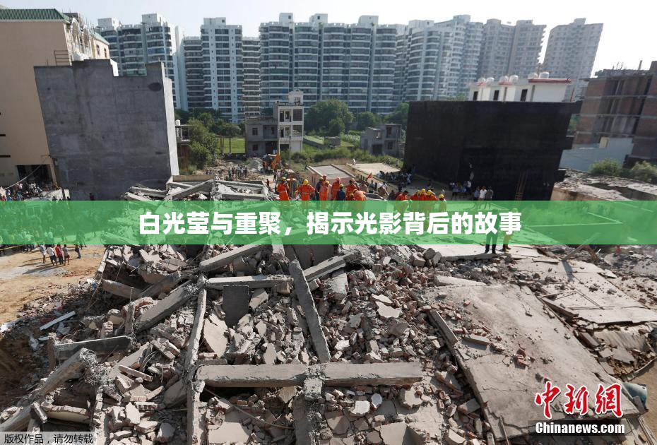 白光莹与重聚，揭示光影背后的故事