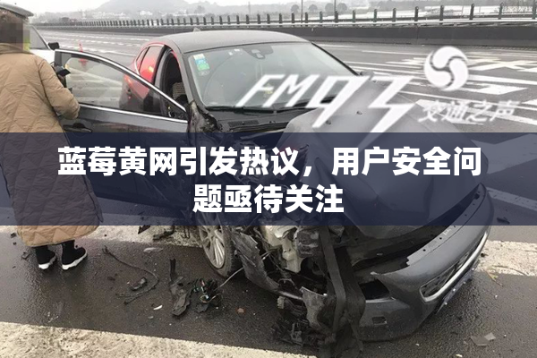 蓝莓黄网引发热议，用户安全问题亟待关注