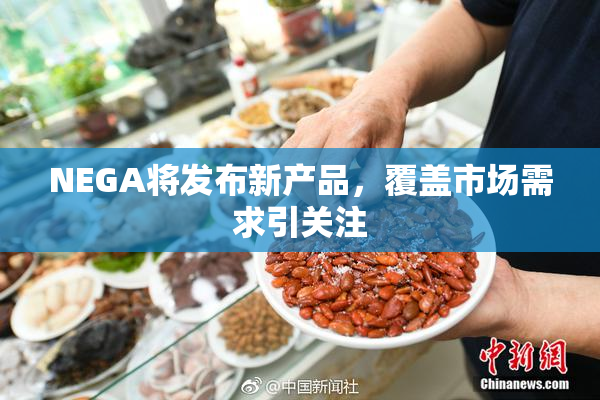 NEGA将发布新产品，覆盖市场需求引关注