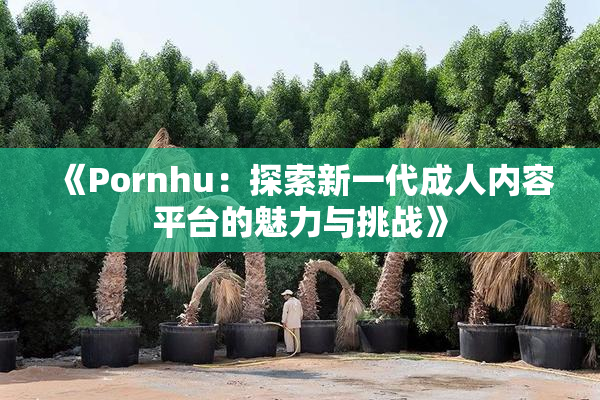 《Pornhu：探索新一代成人内容平台的魅力与挑战》