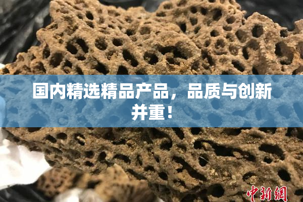 国内精选精品产品，品质与创新并重！