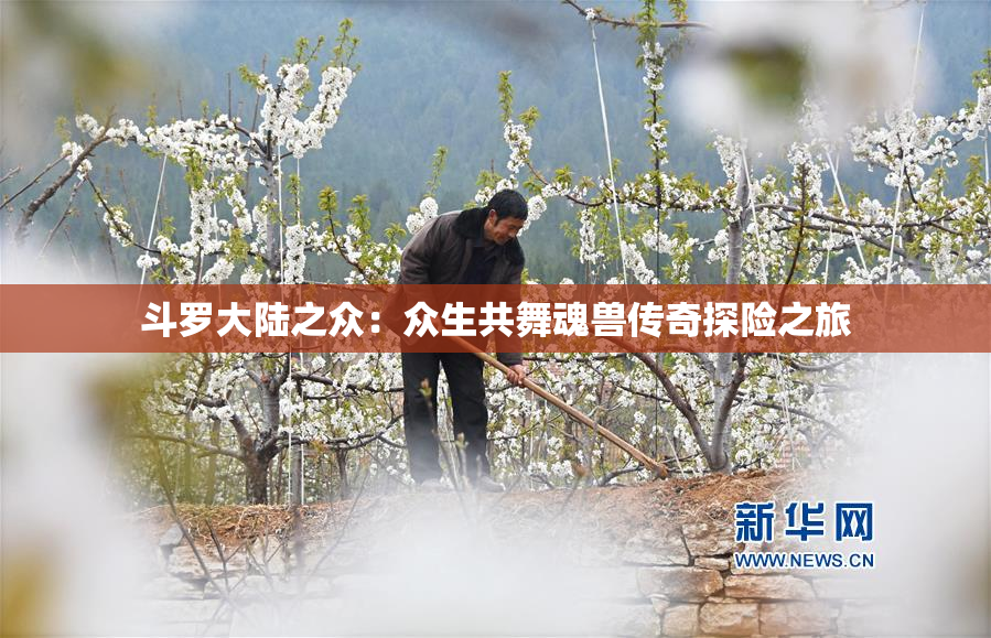 斗罗大陆之众：众生共舞魂兽传奇探险之旅