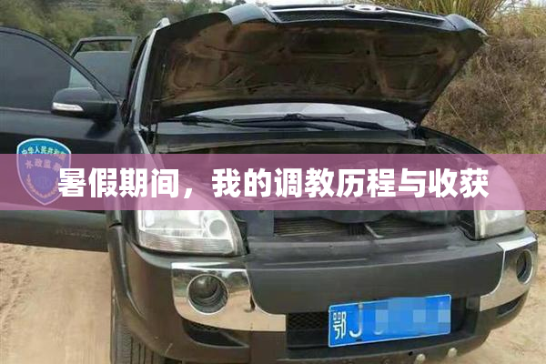暑假期间，我的调教历程与收获