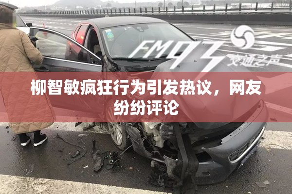 柳智敏疯狂行为引发热议，网友纷纷评论