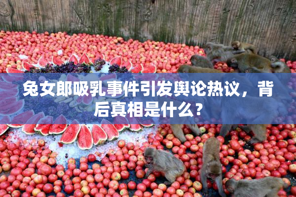 兔女郎吸乳事件引发舆论热议，背后真相是什么？
