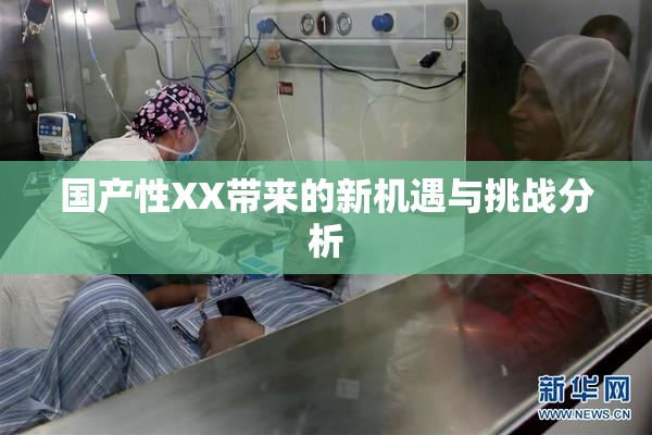 国产性XX带来的新机遇与挑战分析