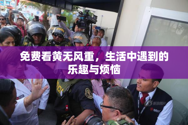 免费看黄无风重，生活中遇到的乐趣与烦恼