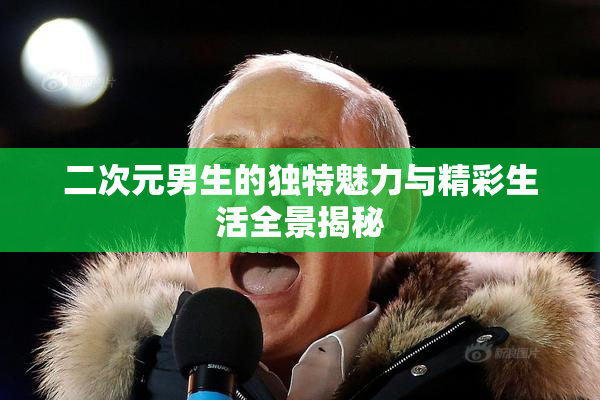 二次元男生的独特魅力与精彩生活全景揭秘