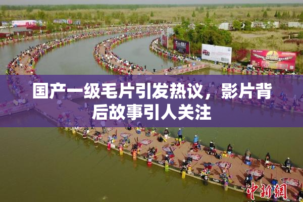 国产一级毛片引发热议，影片背后故事引人关注