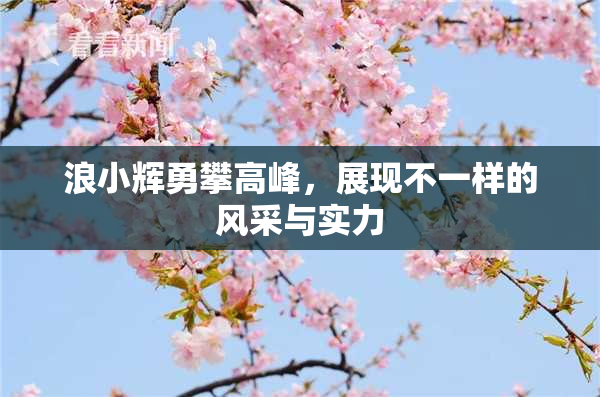 浪小辉勇攀高峰，展现不一样的风采与实力