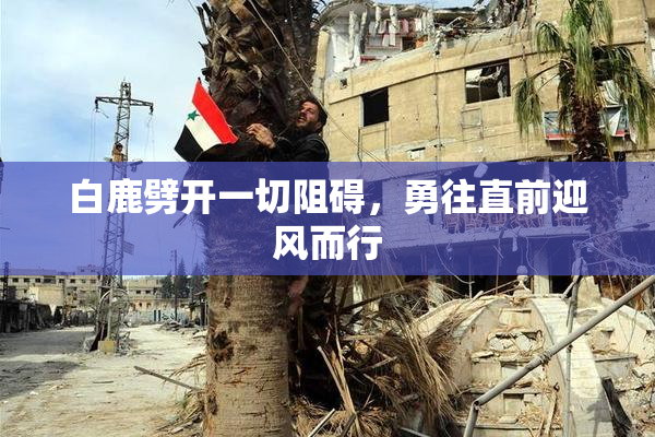 白鹿劈开一切阻碍，勇往直前迎风而行