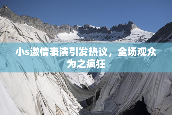 小s激情表演引发热议，全场观众为之疯狂