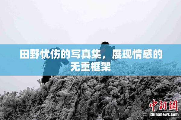 田野忧伤的写真集，展现情感的无重框架