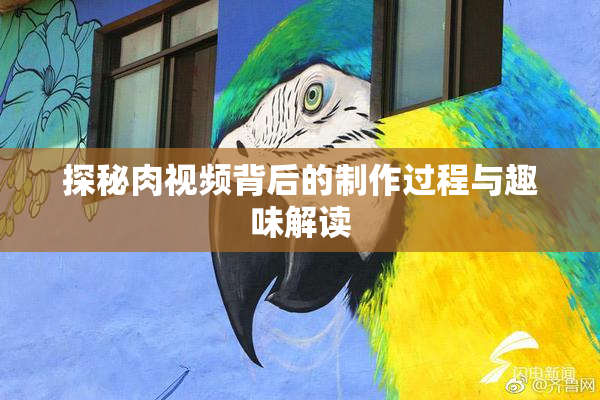 探秘肉视频背后的制作过程与趣味解读
