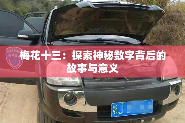 梅花十三：探索神秘数字背后的故事与意义