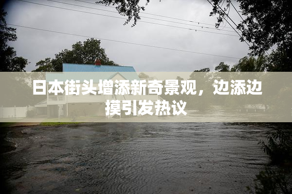 日本街头增添新奇景观，边添边摸引发热议