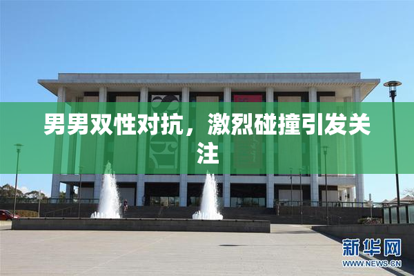 男男双性对抗，激烈碰撞引发关注