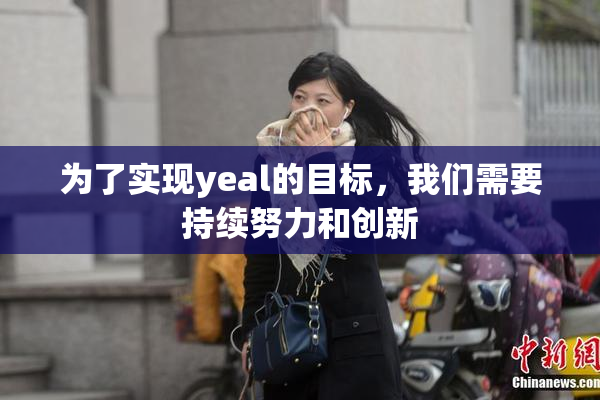 为了实现yeal的目标，我们需要持续努力和创新