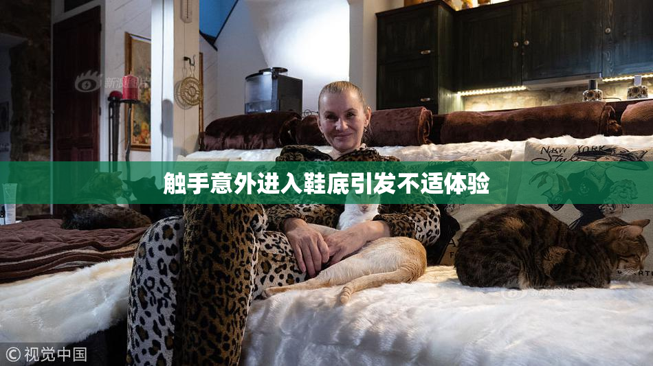 触手意外进入鞋底引发不适体验