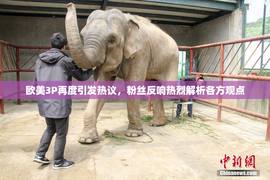 欧美3P再度引发热议，粉丝反响热烈解析各方观点