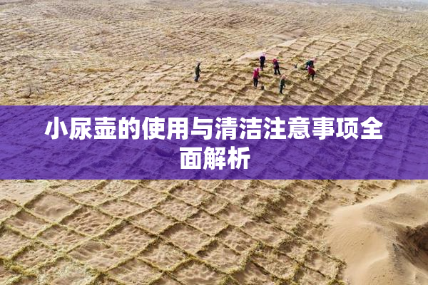 小尿壶的使用与清洁注意事项全面解析