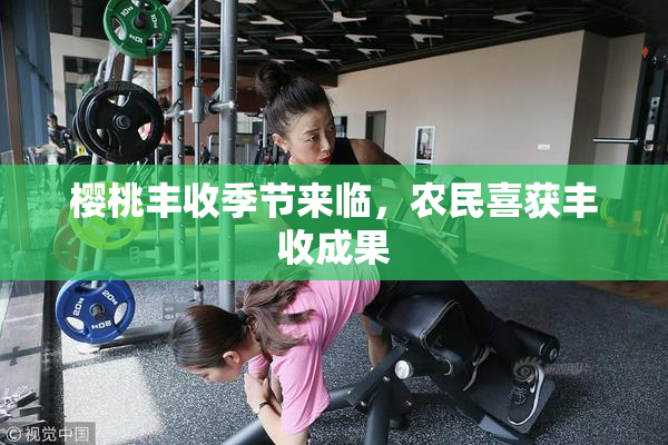 樱桃丰收季节来临，农民喜获丰收成果