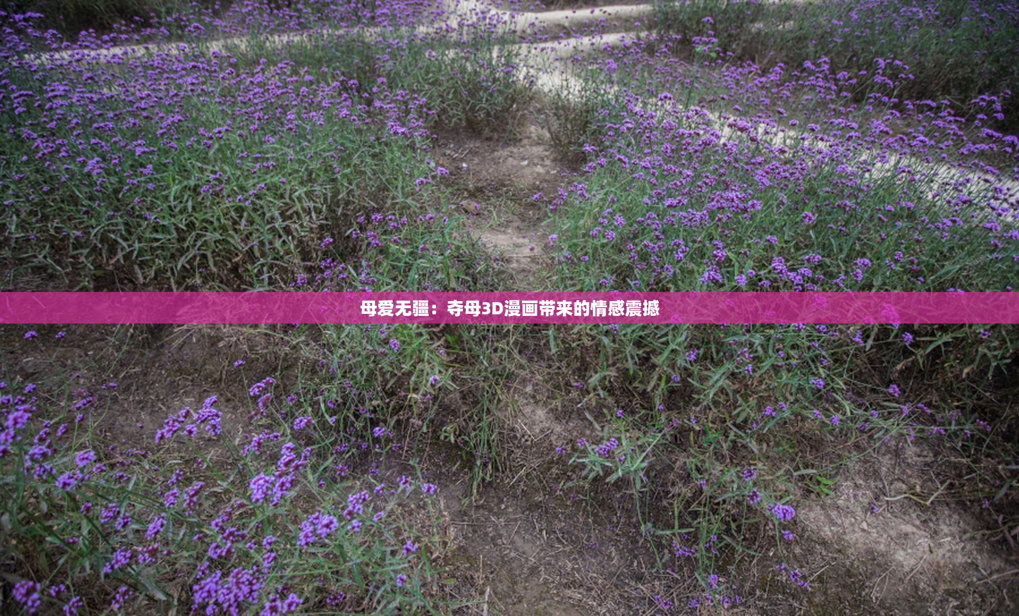 母爱无疆：夺母3D漫画带来的情感震撼