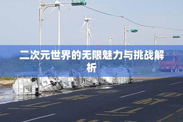 二次元世界的无限魅力与挑战解析