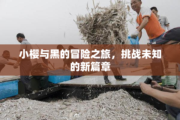 小樱与黑的冒险之旅，挑战未知的新篇章