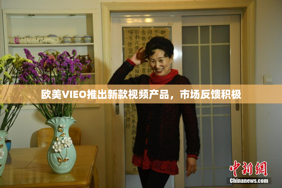 欧美VIEO推出新款视频产品，市场反馈积极