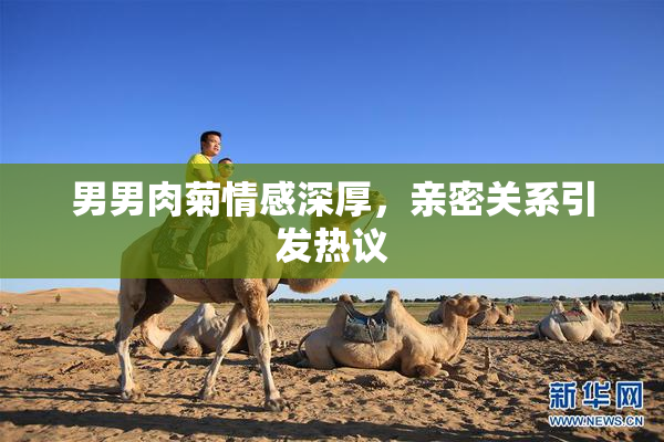 男男肉菊情感深厚，亲密关系引发热议