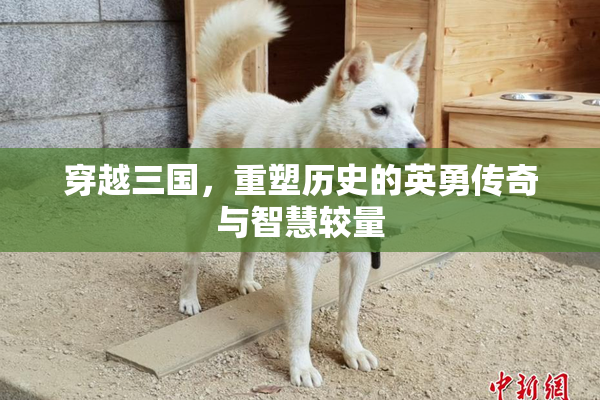 穿越三国，重塑历史的英勇传奇与智慧较量