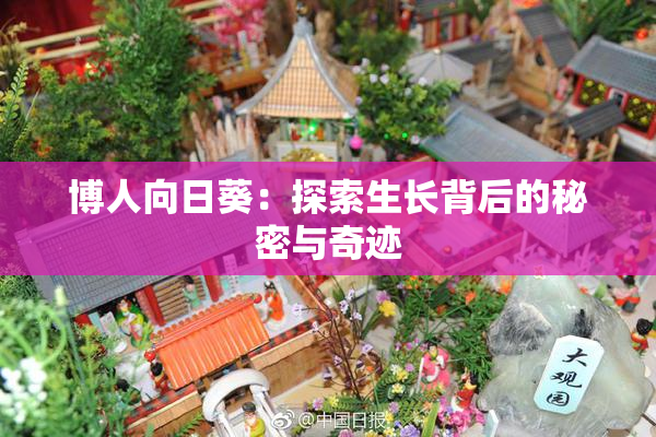 博人向日葵：探索生长背后的秘密与奇迹