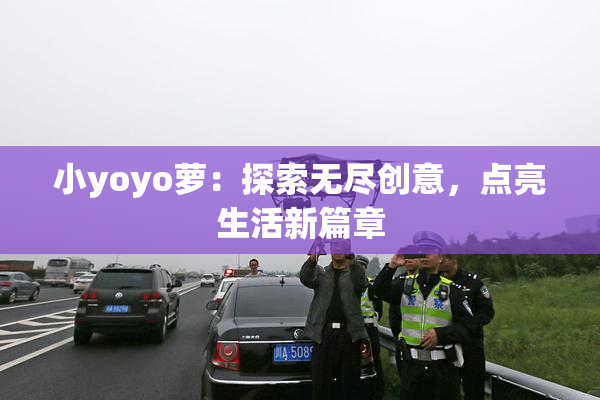小yoyo萝：探索无尽创意，点亮生活新篇章