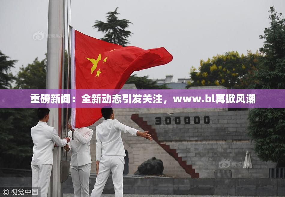 重磅新闻：全新动态引发关注，www.bl再掀风潮