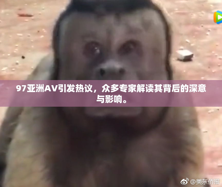 97亚洲AV引发热议，众多专家解读其背后的深意与影响。