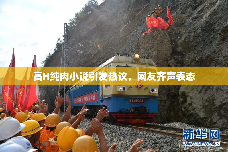 高H纯肉小说引发热议，网友齐声表态