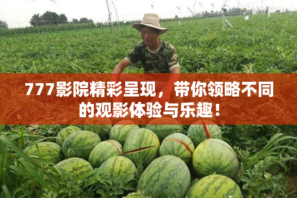 777影院精彩呈现，带你领略不同的观影体验与乐趣！