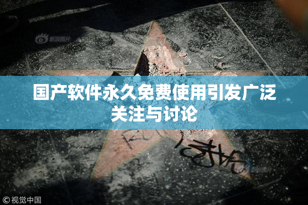 国产软件永久免费使用引发广泛关注与讨论