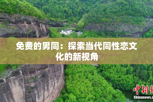 免费的男同：探索当代同性恋文化的新视角