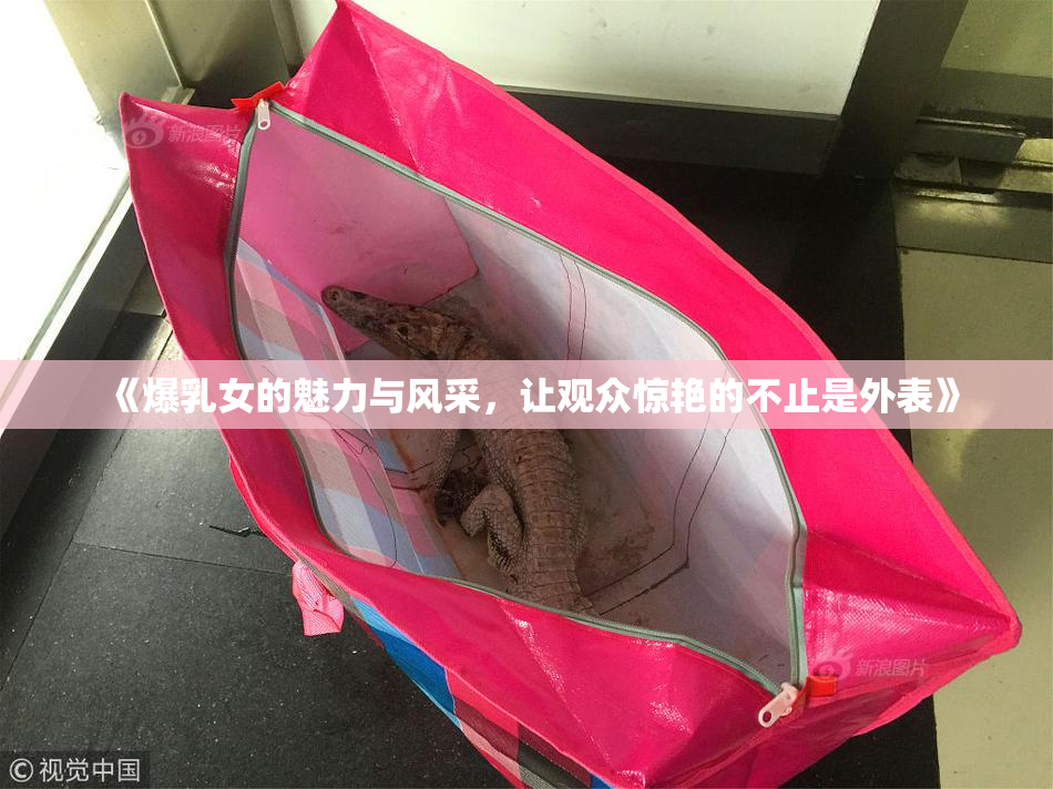 《爆乳女的魅力与风采，让观众惊艳的不止是外表》