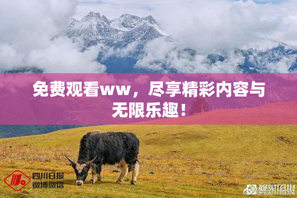 免费观看ww，尽享精彩内容与无限乐趣！