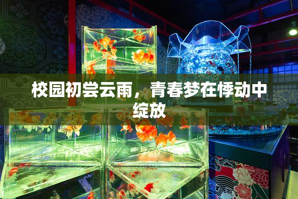 校园初尝云雨，青春梦在悸动中绽放