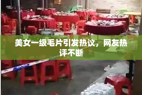 美女一级毛片引发热议，网友热评不断