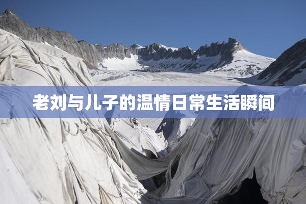 老刘与儿子的温情日常生活瞬间