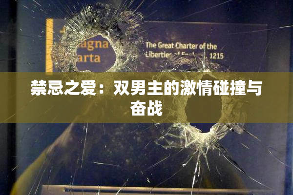 禁忌之爱：双男主的激情碰撞与奋战