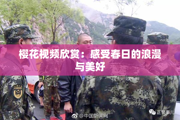 樱花视频欣赏：感受春日的浪漫与美好