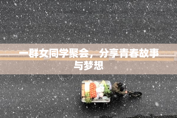 一群女同学聚会，分享青春故事与梦想