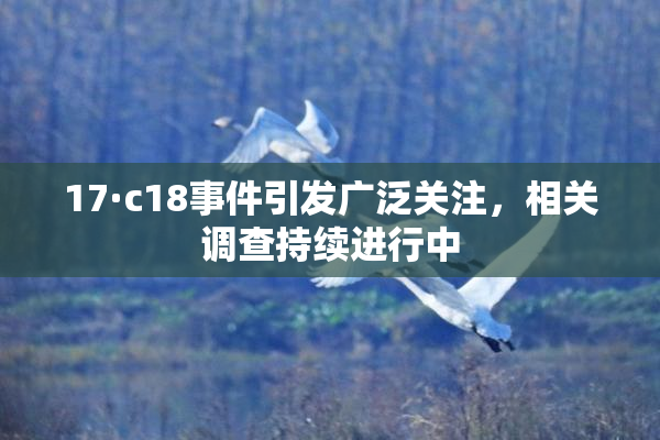 17·c18事件引发广泛关注，相关调查持续进行中