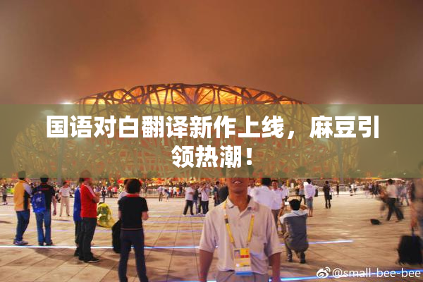 国语对白翻译新作上线，麻豆引领热潮！